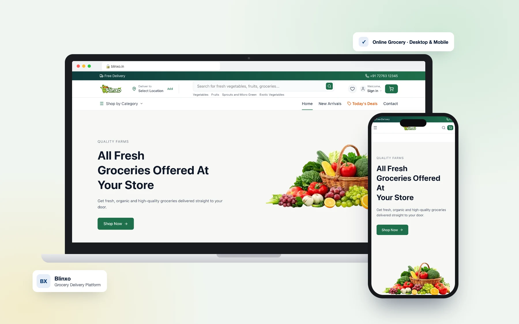Blinxo — Grocery Delivery Platform on desktop and mobile